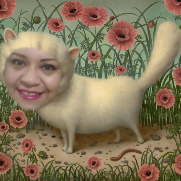 Artsy floral abstract prints, retro, unisex store - Picture 6 of 8